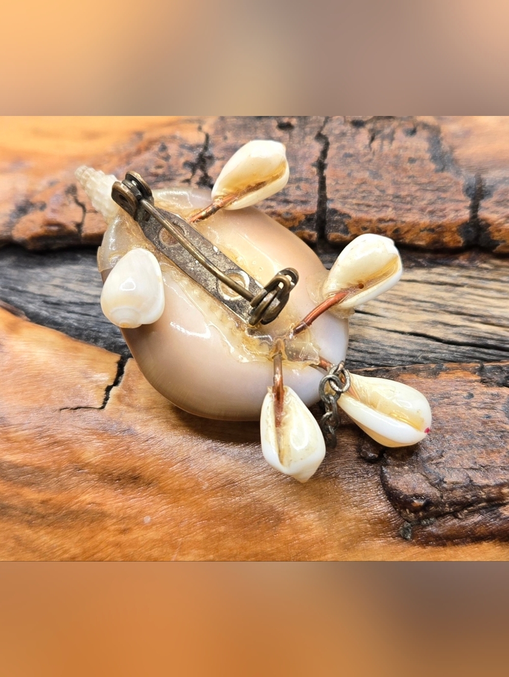 Shell Brooch - Turtle Handmade 1¾" X 1"  Wacky Item - Picture 4 of 5